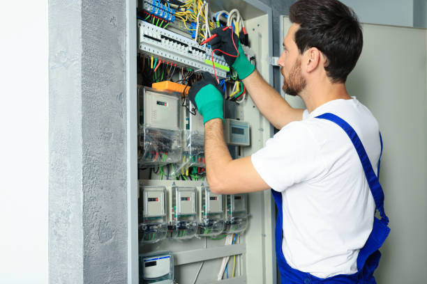 Best Electric Panel Repair  in Russellville, AL